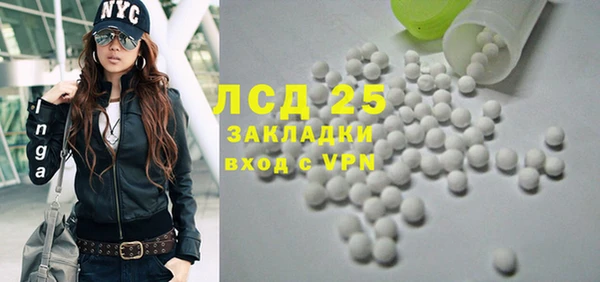 дурь Кедровый