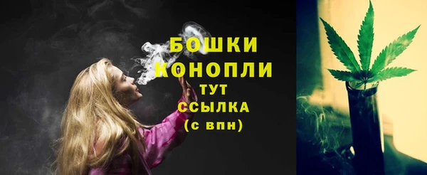 мдпв Красноперекопск
