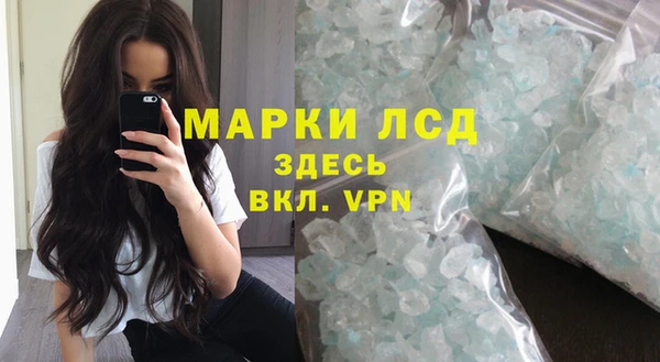 дурь Кедровый
