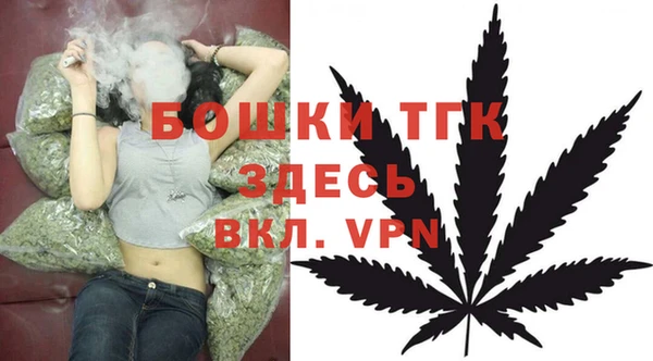 ECSTASY Краснослободск