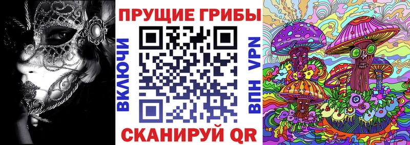 гидра ONION  Мезень  Галлюциногенные грибы Psilocybe 